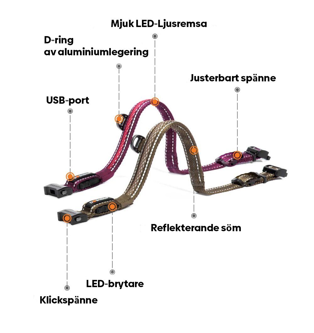 Petzi LED - Hundhalsband - Petzi Djurtillbehör