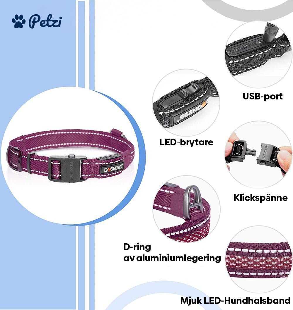Petzi LED - Hundhalsband - Petzi Djurtillbehör